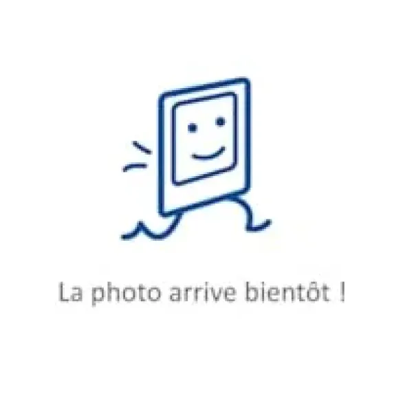 Mini gressin sésame Bio