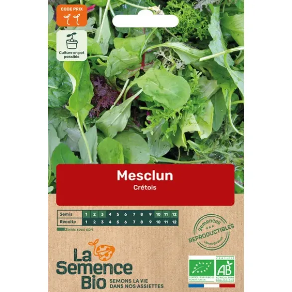 Mélange Mesclun crétois semence 1g