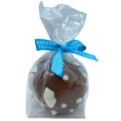 Moulage poisson dodu chocolat lait 80g
