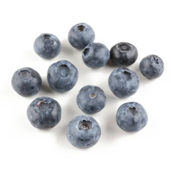 Myrtille Bio