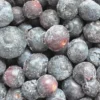 Myrtille cultivée 450g
