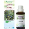 Myrtille (Vaccinium myrtillus) 30ml