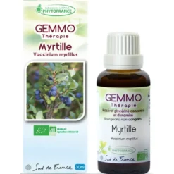 Myrtille (Vaccinium myrtillus) 30ml