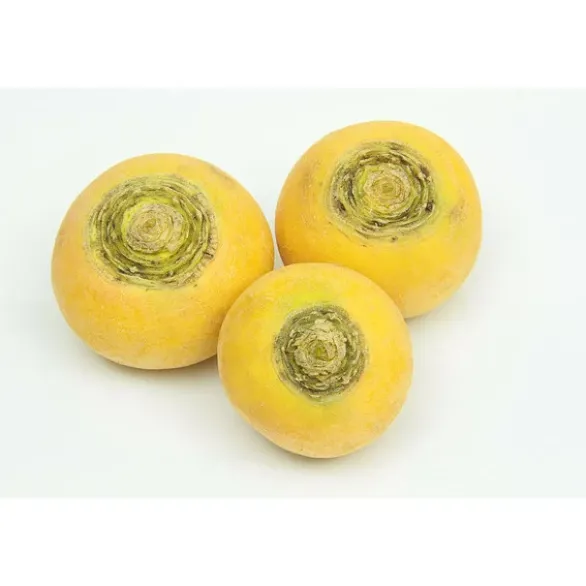 Navet Vrac Jaune Bio