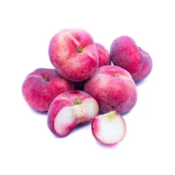 Nectarine Plate Bio