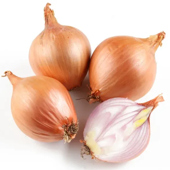 Oignon Rose Bio