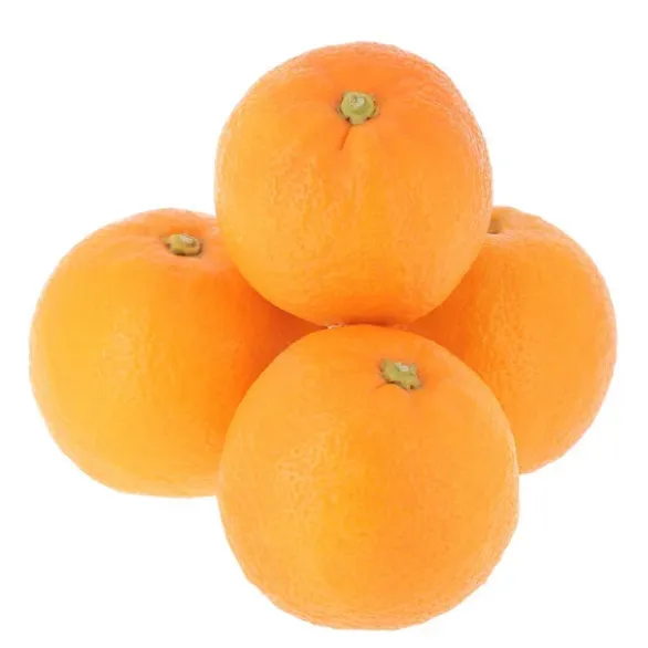 Orange Amère Bio