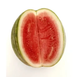 Pastèque (tranche) Bio