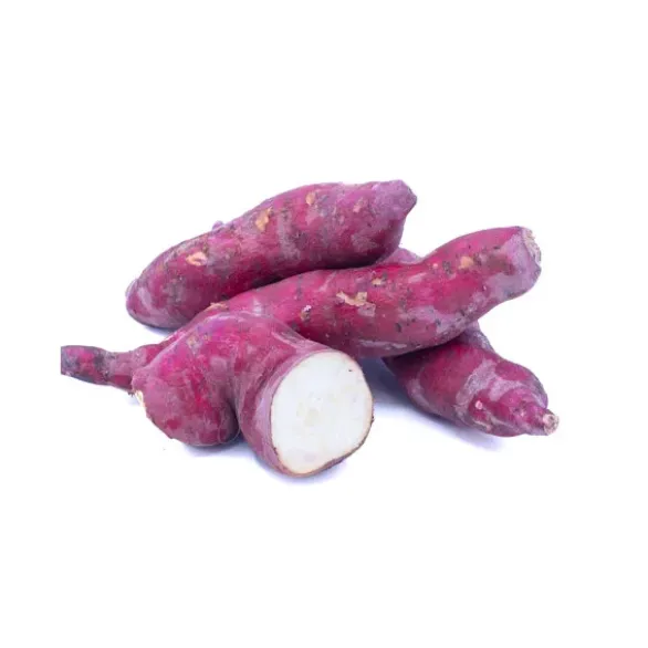 Patate Douce Blanche Bio