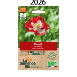 Pavot semence 0.4g