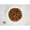 Penne épeautre de Tartarie complet Bio