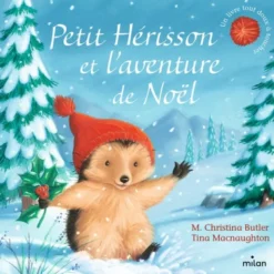 Petit hérisson et l'aventure de Noël