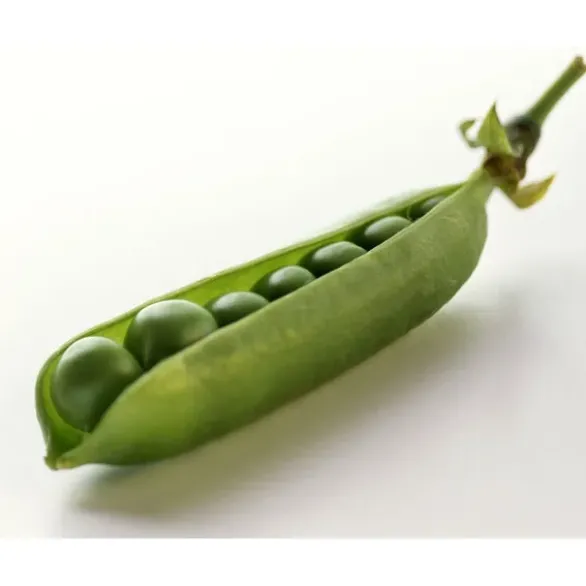 Petit Pois Bio