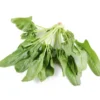 Épinard Feuille Bio
