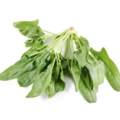 Épinard Feuille Bio
