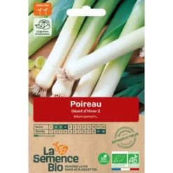 Poireau Géant d'Hiversemence 1.65g