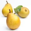 Poire Beurré Hardy Bio