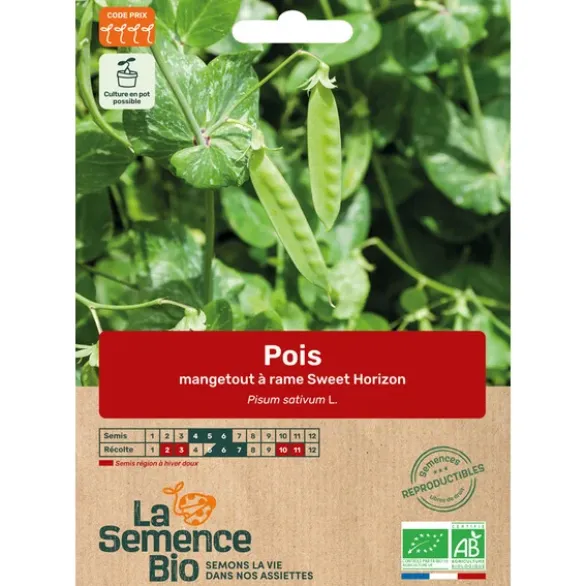 Pois mangetout Sweet Horizon semence 50g