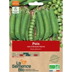 Pois nain à écosser Karina semence 70g