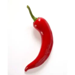 Poivron Piment Bio