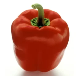 Poivron Rouge Bio