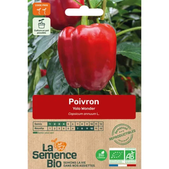 Poivron yolo wonder semence 0.18g
