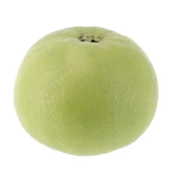 Pomelos Blanc Bio