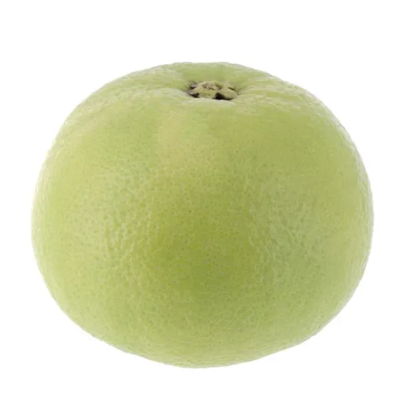 Pomelos Blanc (pièce) Bio