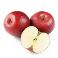 Pomme Akane Bio