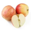 Pomme Ariane Bio