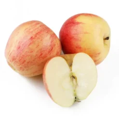 Pomme Ariane Bio