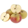 Pomme Cox, Suntan Bio