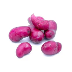 Pomme de terre de consommation rouge Désirée Bio
