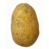 Pomme de terre de consommation à chair fermeNicola Bio