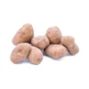 Pomme de terre de consommationBintje Bio