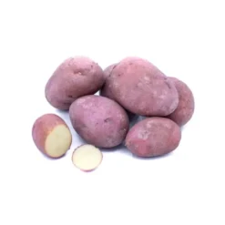 Pomme de terre Rose Bio