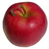 Pomme Initial Gala Bio