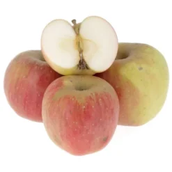 Pomme Quérina, Florina Bio