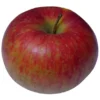 Pomme Reinettes d'Anjou Bio