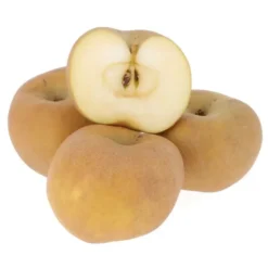 Pomme Reinettes Grise du Canada Bio