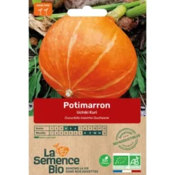 Potimarron Uchiki Kurisemence 4g