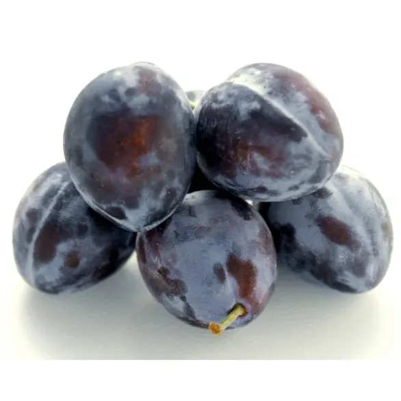 Prune Bio