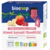 Purée sans sucres ajoutés pomme banane framboise gourde 4x90g