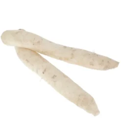 Radis Blanc Daïkon Bio