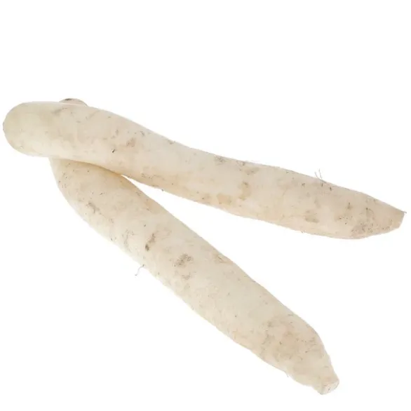 Radis Blanc Daïkon Bio