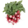 Radis Botte Rose Bio