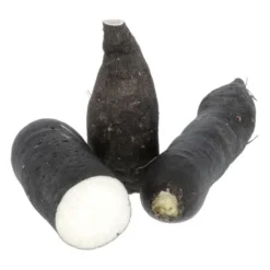 Radis Noir Bio