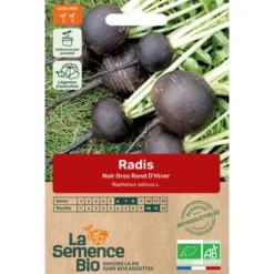 Radis noir gros Rond d'hiver semence 3g
