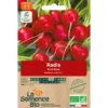 Radis Rond Raxesemence 3,5g