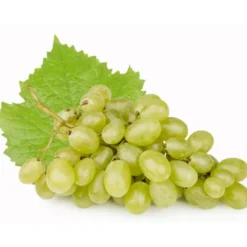 Raisin de table Blanc Bio